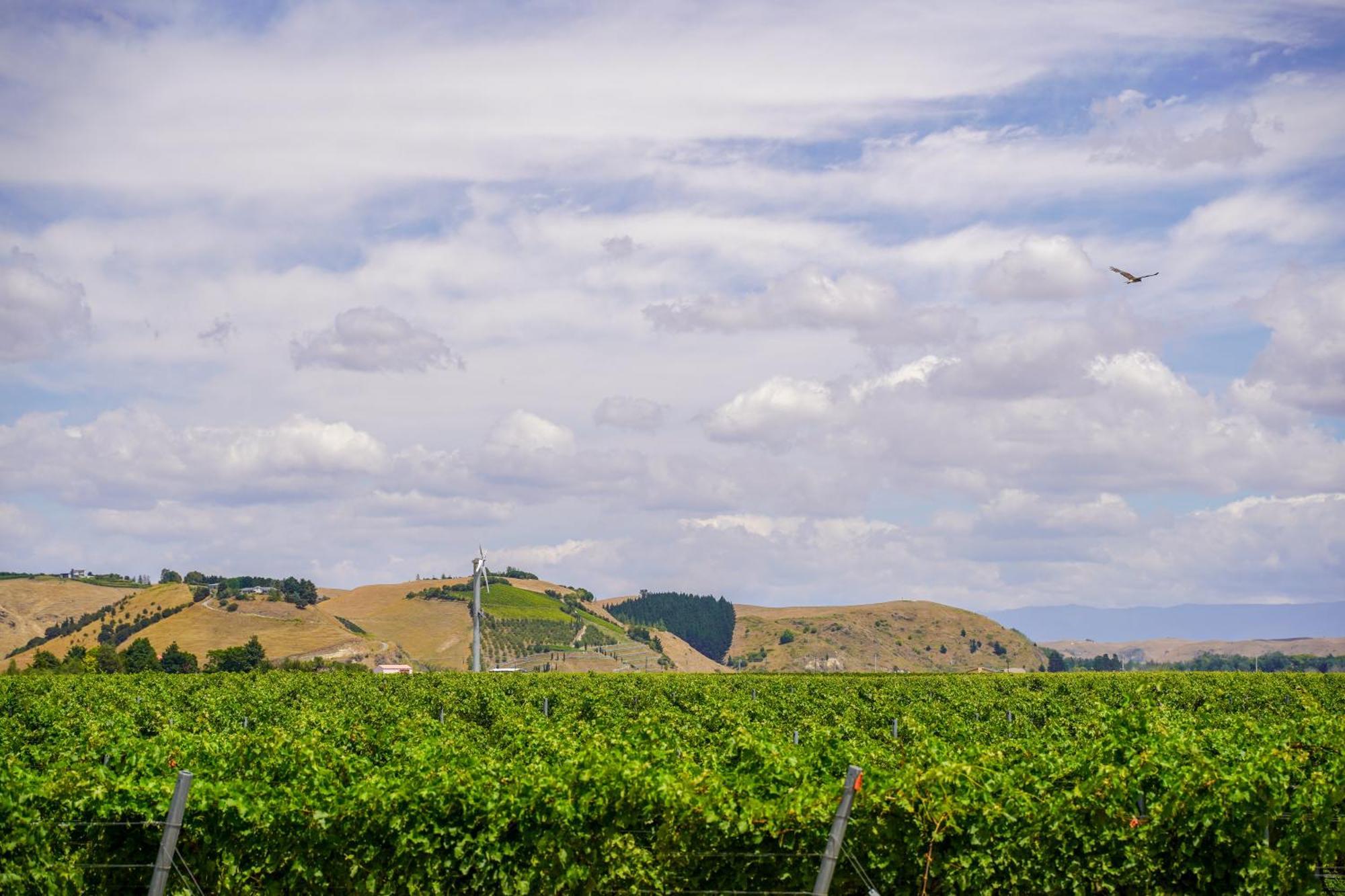 Syrah Suite Unison Vineyard Fernhill Exterior foto